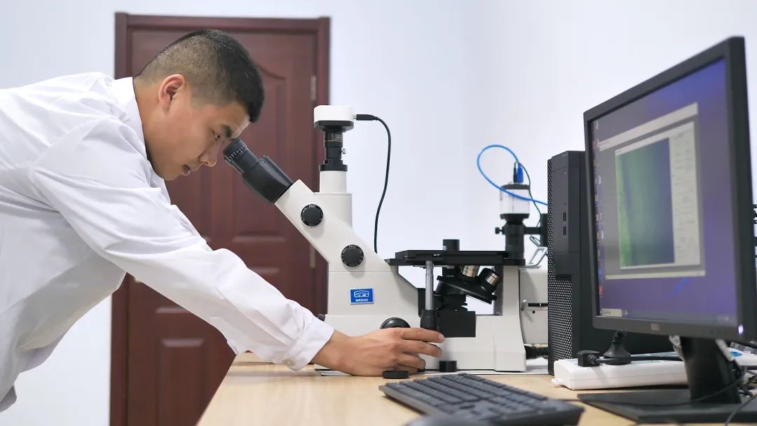 1700200475429161.jpg 5122f13a31811942c98953034db959b9_640_wx_fmt=jpeg&wxfrom=5&wx_lazy=1&wx_co=1.jpg